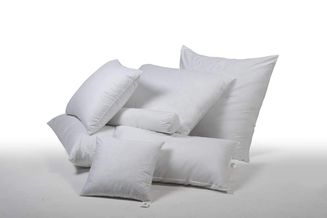 Guanciali stock